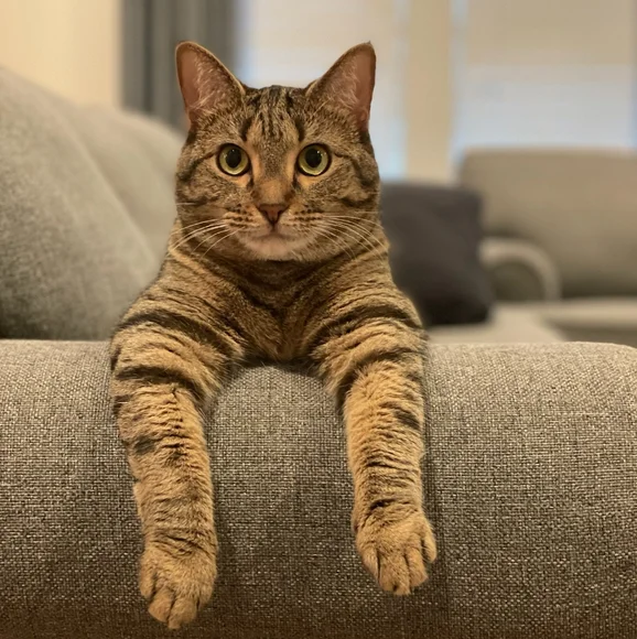 Join Me Live Today - Picture 5 of 8